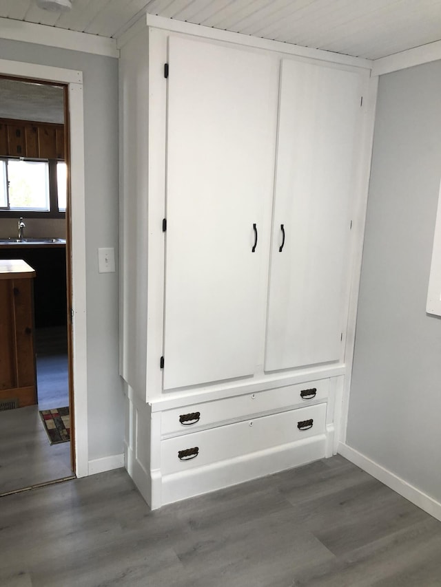 589 E Sidney Rd, Stanton, MI 48888 - view of closet