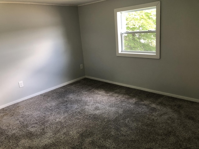 589 E Sidney Rd, Stanton, MI 48888 - spare room featuring carpet flooring and crown molding
