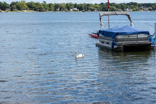 view of dock with a water view