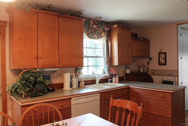 kitchen with dishwasher and sink