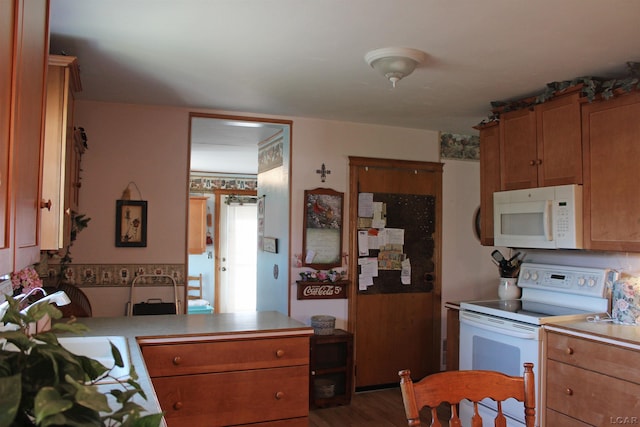 kitchen with dark hardwood / wood-style flooring, white appliances, and sink