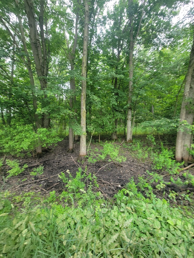 Listing photo 3 for 0107 Murphy Lake Rd, Silverwood MI 48760