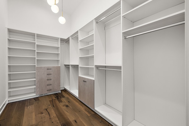 walk in closet featuring dark wood finished floors