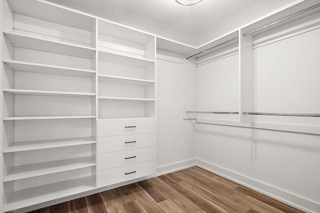 spacious closet with wood-type flooring