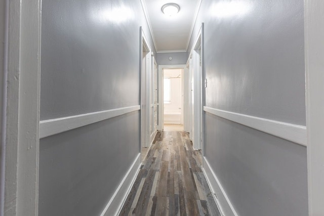 corridor featuring hardwood / wood-style flooring and ornamental molding