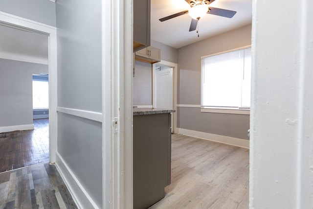 hallway featuring a healthy amount of sunlight, light wood-type flooring, and ornamental molding