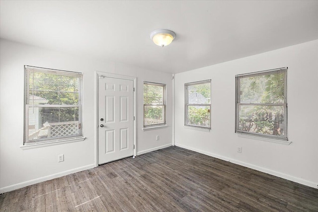 foyer with dark hardwood / wood-style flooring and plenty of natural light