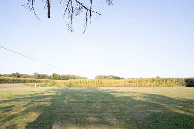 view of yard with a rural view