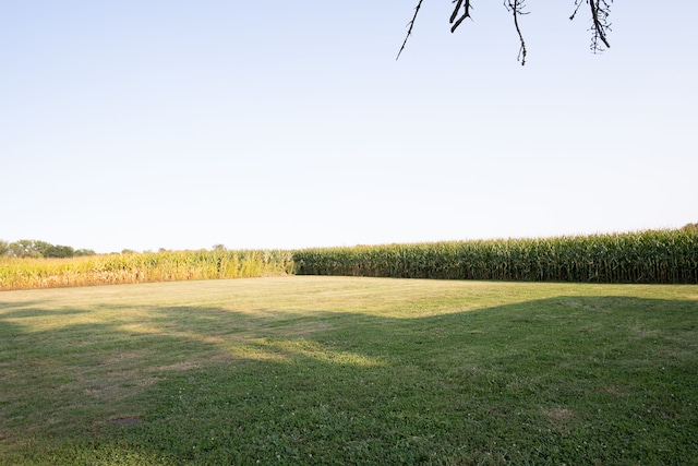 view of yard with a rural view