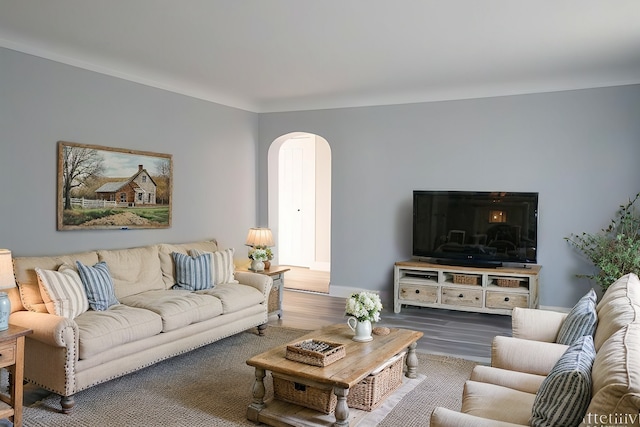 living room featuring wood-type flooring