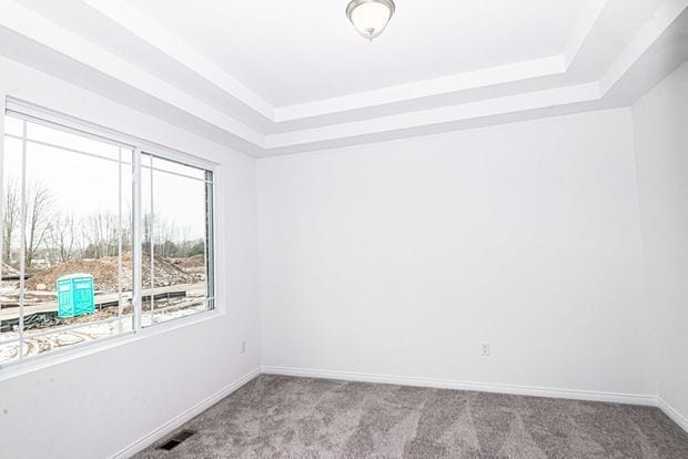 carpeted empty room with a tray ceiling