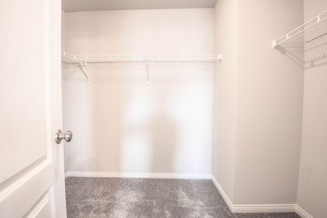 spacious closet with carpet flooring