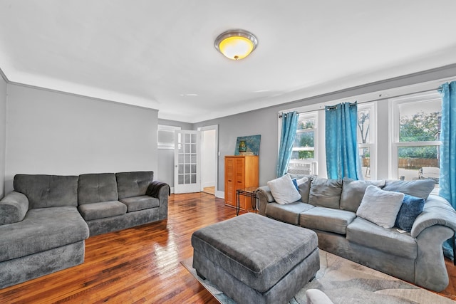 living room featuring hardwood / wood-style floors