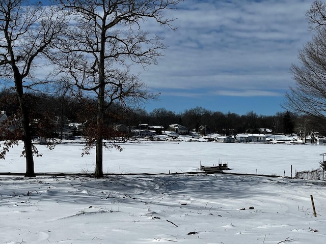 view of yard covered in snow