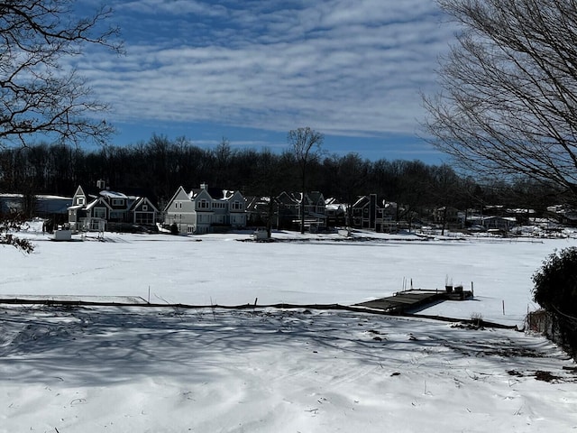 yard covered in snow featuring a boat dock