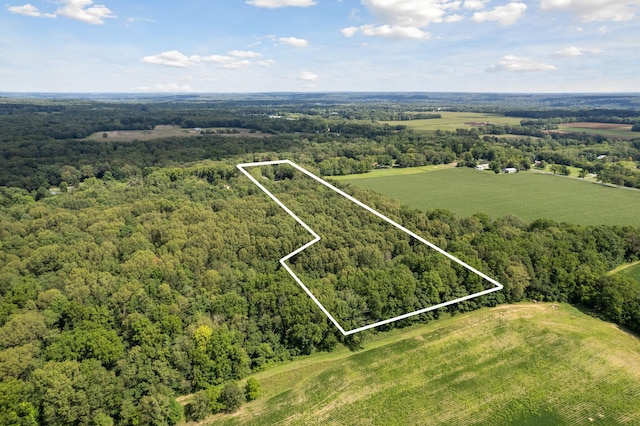 bird's eye view with a rural view