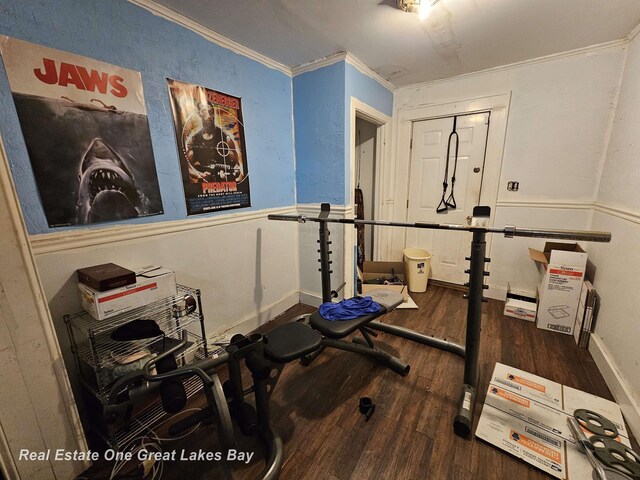 422 N Woodbridge St, Saginaw, MI 48602 - workout area featuring wood finished floors, a wainscoted wall, and crown molding