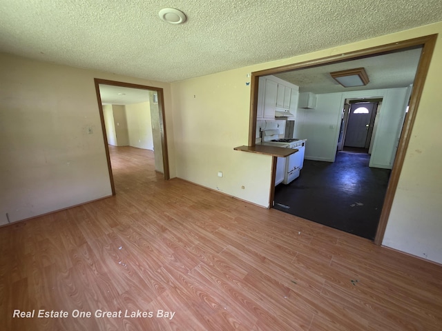 3810 Nicol Dr, Saginaw, MI 48601 - unfurnished living room featuring a textured ceiling and wood finished floors