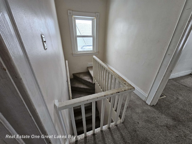 stairway featuring carpet floors