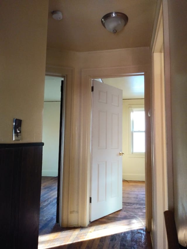 hallway with hardwood / wood-style floors