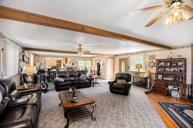 living area with a ceiling fan, beamed ceiling, a healthy amount of sunlight, and wood finished floors