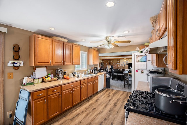 kitchen featuring stainless steel gas range oven, ceiling fan, dishwasher, and light hardwood / wood-style floors