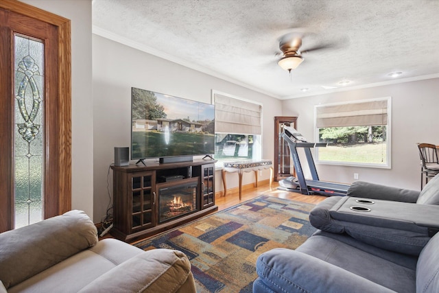 living room featuring hardwood / wood-style flooring, plenty of natural light, crown molding, and ceiling fan