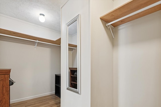 walk in closet with light hardwood / wood-style flooring