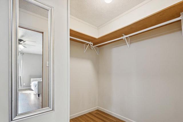 spacious closet with ceiling fan and hardwood / wood-style flooring