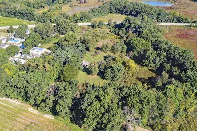 aerial view featuring a water view and a rural view