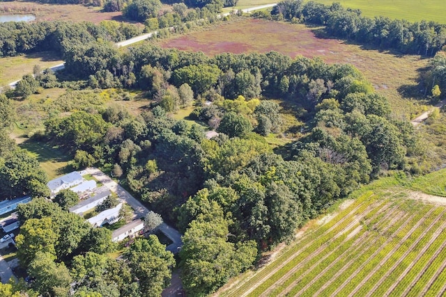 drone / aerial view with a rural view