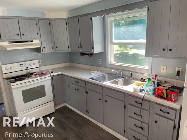 kitchen featuring gray cabinetry, ventilation hood, dark wood-type flooring, sink, and white range with electric cooktop