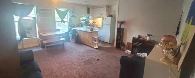 16 S 7th St, Niles, MI 49120 - kitchen with freestanding refrigerator and carpet floors