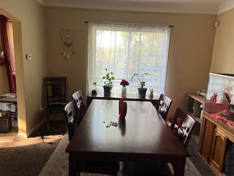 dining area featuring light carpet