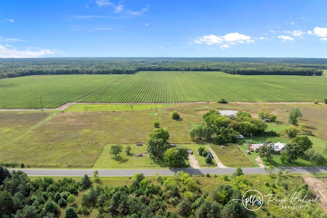 drone / aerial view featuring a rural view