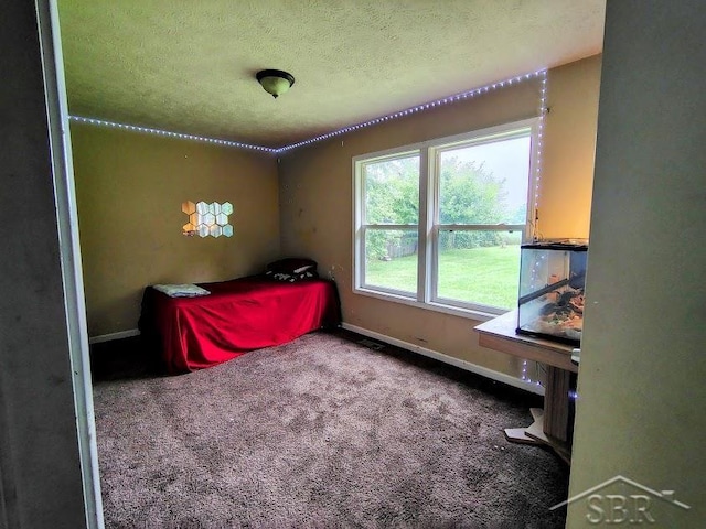 bedroom featuring carpet floors and a textured ceiling