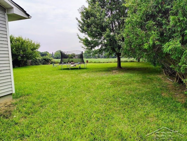 view of yard with a trampoline