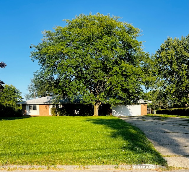 view of property hidden behind natural elements with a front lawn