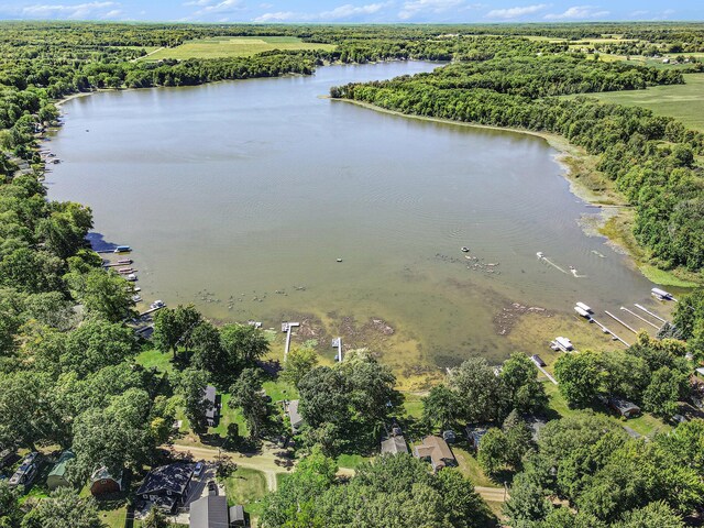 3055 E Baseline Rd, Gobles, MI 49055 - aerial view of a nearby body of water and a forest
