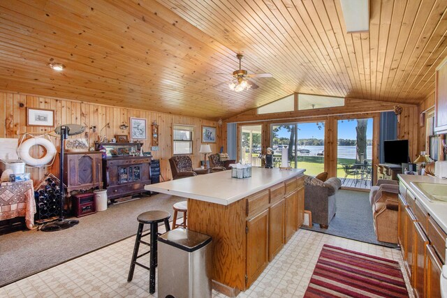 3055 E Baseline Rd, Gobles, MI 49055 - kitchen with open floor plan, lofted ceiling, light flooring, wood walls, and plenty of natural light