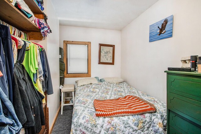 3055 E Baseline Rd, Gobles, MI 49055 - view of carpeted bedroom