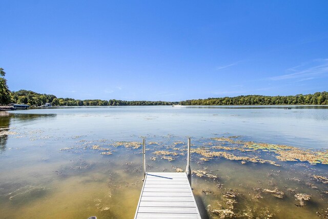 3055 E Baseline Rd, Gobles, MI 49055 - dock featuring a water view