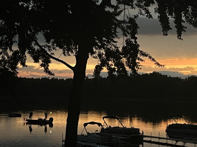 3055 E Baseline Rd, Gobles, MI 49055 - water view featuring a dock and a heavily wooded area