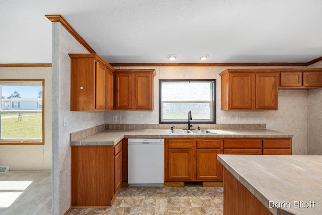 kitchen featuring crown molding, sink, and white dishwasher