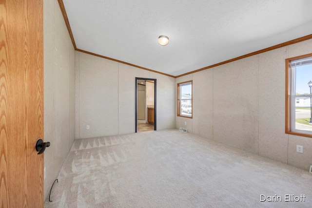 unfurnished room featuring a textured ceiling, ornamental molding, light colored carpet, and a healthy amount of sunlight