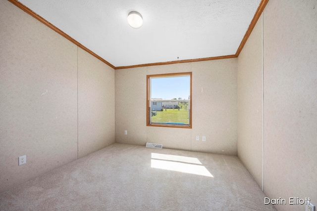 carpeted spare room featuring crown molding and a textured ceiling