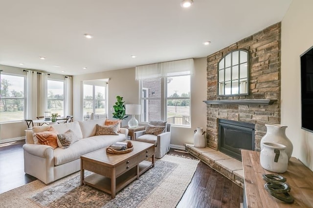 living room featuring a fireplace and wood-type flooring