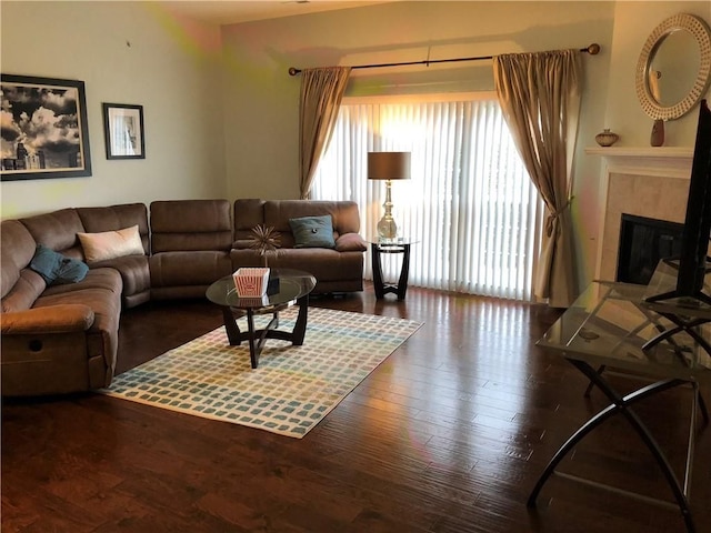 living room featuring a fireplace and hardwood / wood-style flooring