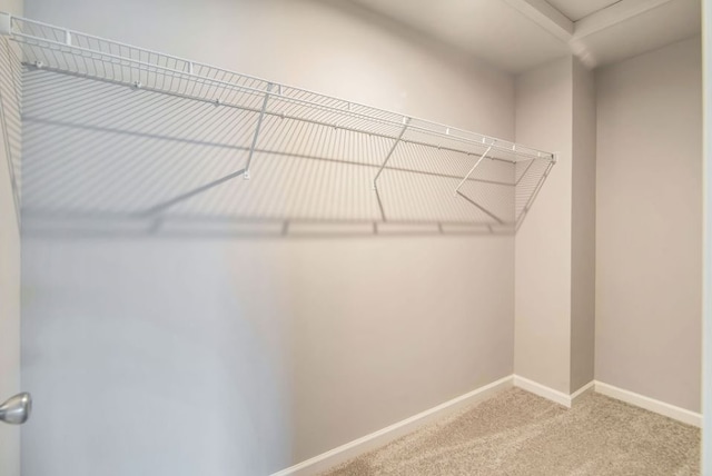 spacious closet with carpet floors