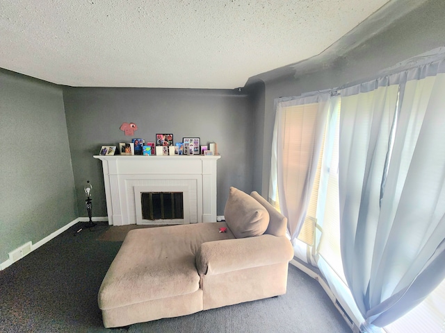 sitting room with carpet and a textured ceiling